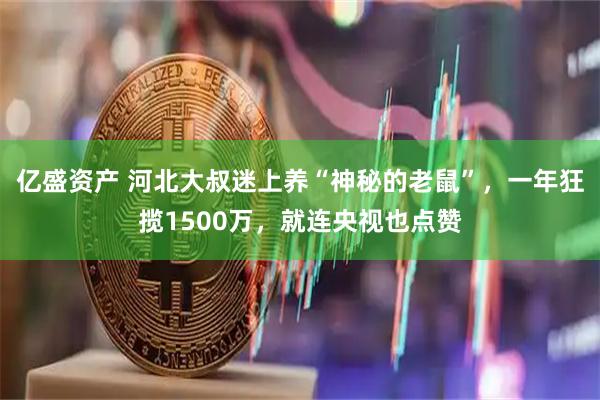 亿盛资产 河北大叔迷上养“神秘的老鼠”，一年狂揽1500万，就连央视也点赞