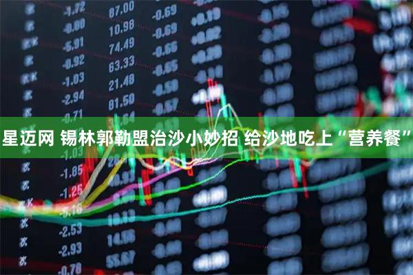 星迈网 锡林郭勒盟治沙小妙招 给沙地吃上“营养餐”
