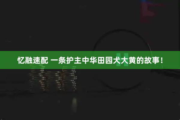 忆融速配 一条护主中华田园犬大黄的故事！