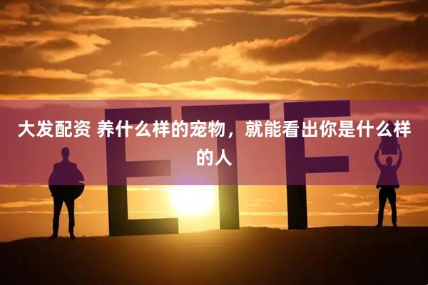 大发配资 养什么样的宠物，就能看出你是什么样的人