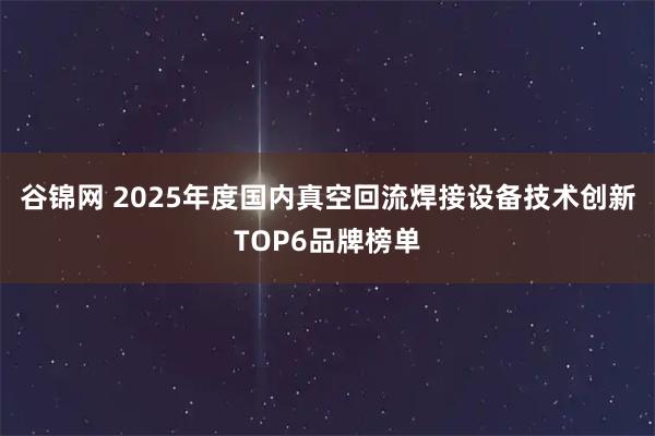谷锦网 2025年度国内真空回流焊接设备技术创新TOP6品牌榜单