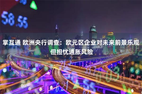 掌互通 欧洲央行调查：欧元区企业对未来前景乐观 但担忧通胀风险