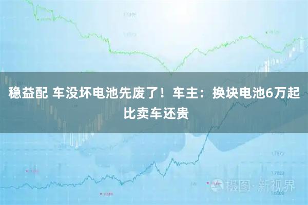 稳益配 车没坏电池先废了！车主：换块电池6万起 比卖车还贵