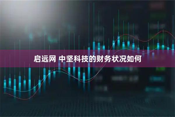 启远网 中坚科技的财务状况如何