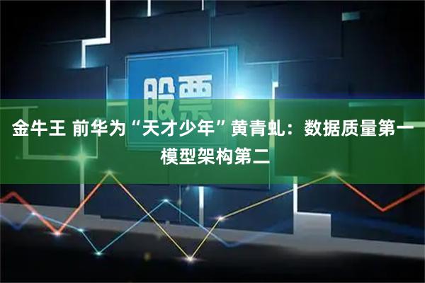 金牛王 前华为“天才少年”黄青虬：数据质量第一 模型架构第二